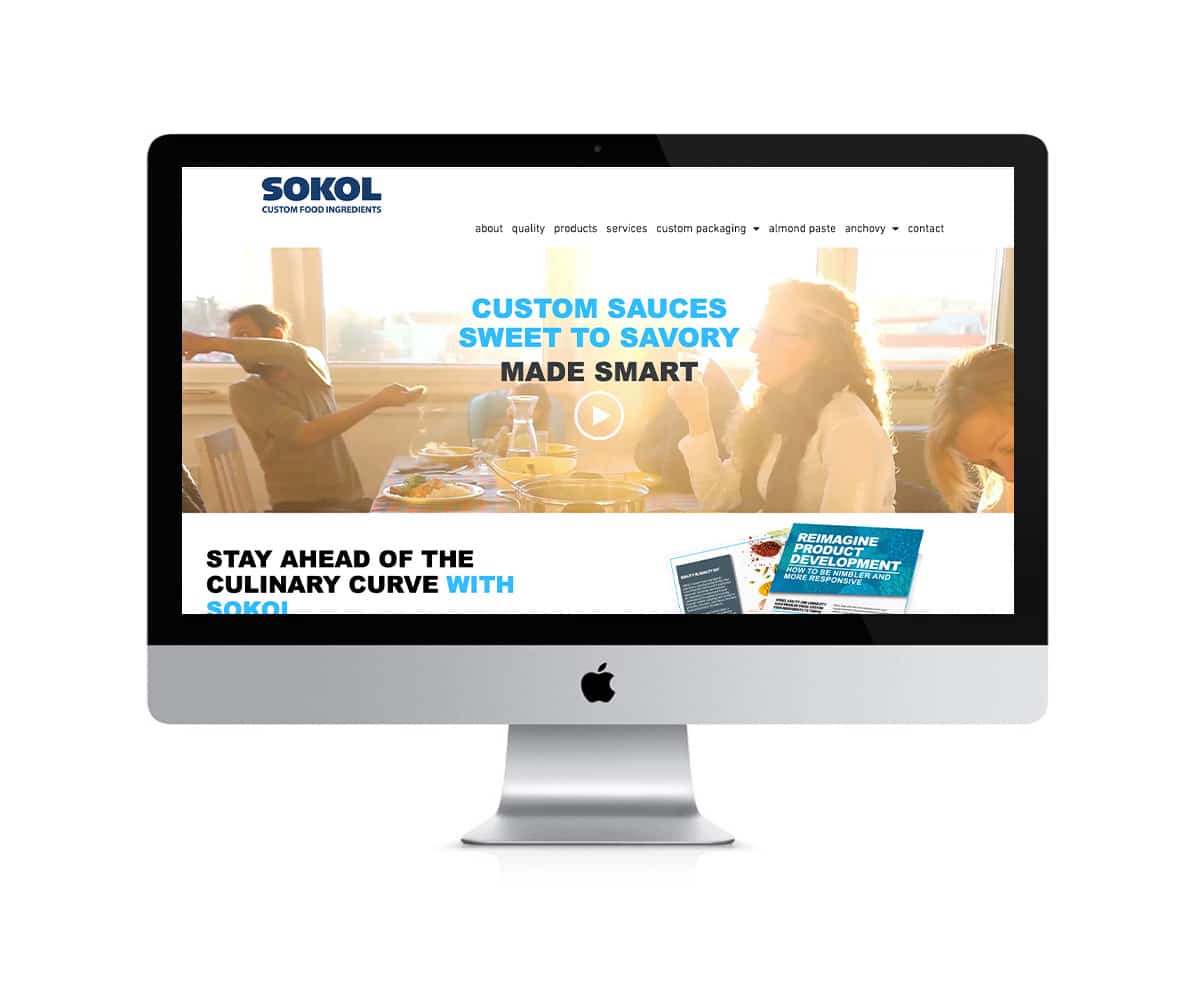 Old Sokol home page