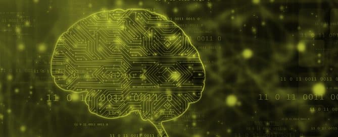 digital rendering of human brain